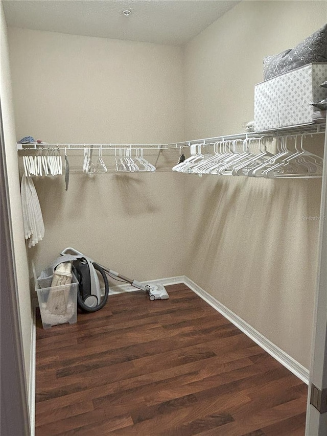 walk in closet with dark wood-type flooring