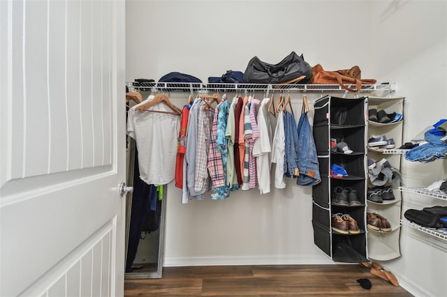 spacious closet with dark hardwood / wood-style flooring