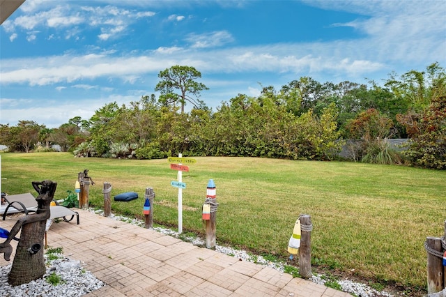 view of yard featuring a patio