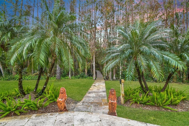 view of home's community featuring a yard