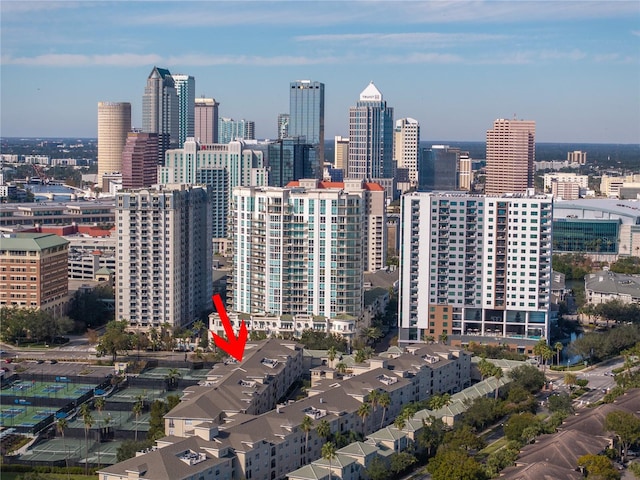501 Knights Run Ave Unit 2308, Tampa, FL 33602 - property's view of city