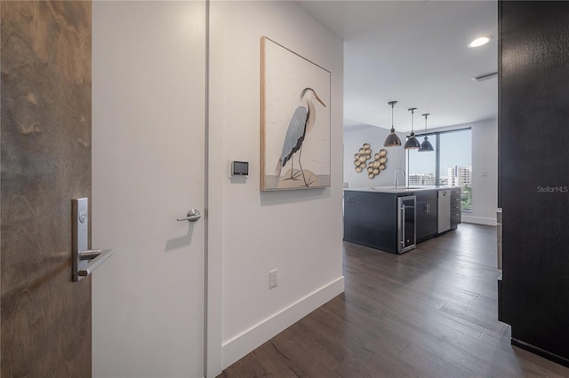 hall with dark hardwood / wood-style floors, floor to ceiling windows, and sink