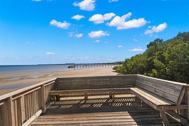 3010 Bayshore Pointe Dr, Tampa, FL 33611 - photo 28