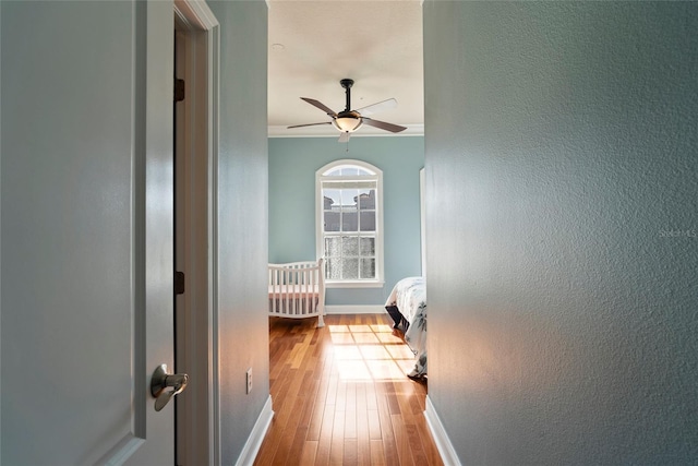 hallway with light hardwood / wood-style flooring