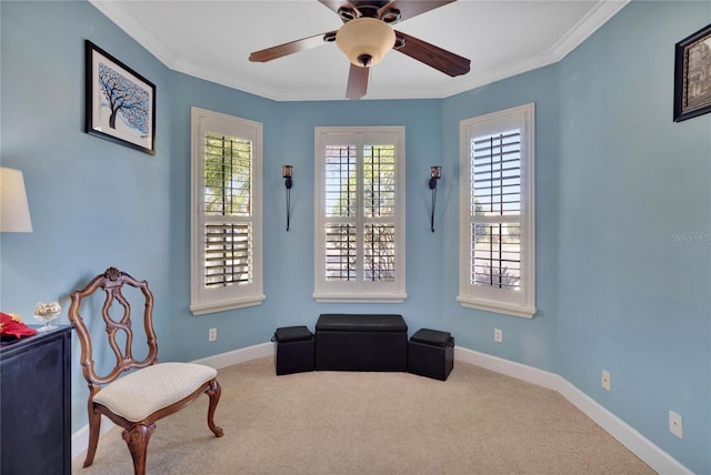 204 Mystic Falls Dr, Apollo Beach, FL 33572 - photo 39