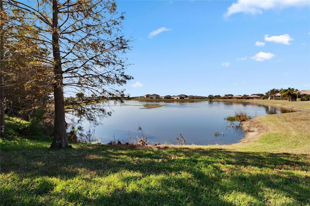 204 Mystic Falls Dr, Apollo Beach, FL 33572 - photo 49