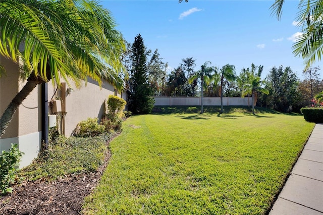 204 Mystic Falls Dr, Apollo Beach, FL 33572 - photo 51