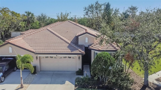 204 Mystic Falls Dr, Apollo Beach, FL 33572 - photo 53