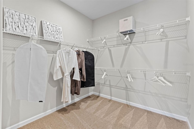 spacious closet featuring carpet floors