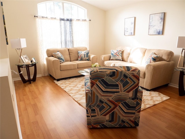 living room with hardwood / wood-style floors