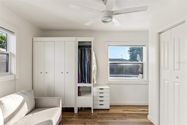 living area featuring ceiling fan and wood-type flooring