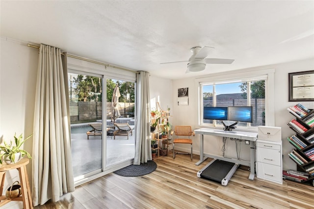 office featuring light hardwood / wood-style flooring, plenty of natural light, and ceiling fan