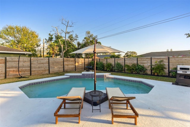 view of swimming pool featuring a patio area