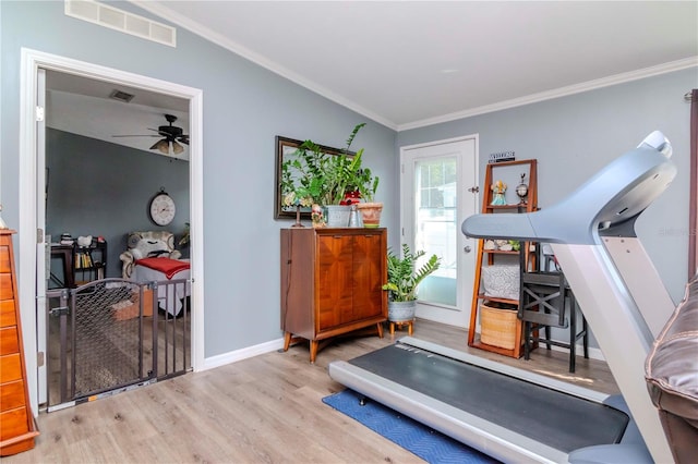 exercise area featuring ceiling fan, crown molding, and light hardwood / wood-style flooring