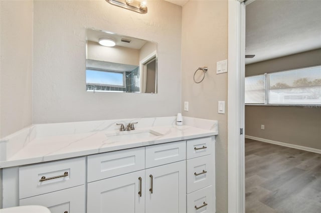 bathroom with hardwood / wood-style flooring, vanity, and a wealth of natural light