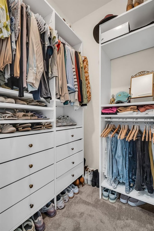 walk in closet featuring carpet flooring