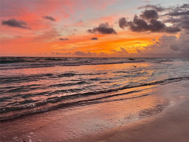 4621 Gulf Of Mexico Dr Unit D10, Longboat Key, FL 34228 - water view with local beach