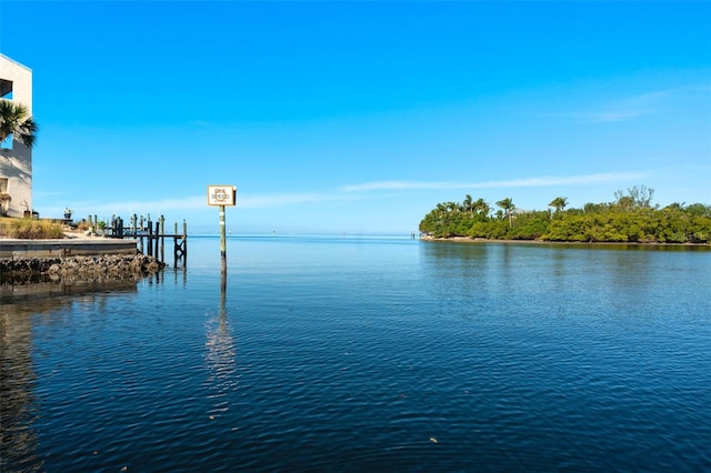 view of water feature featuring a boat dock