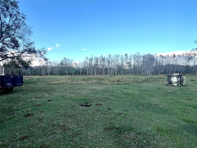 4915 Mount Pleasant Rd, Groveland, FL 34736 - photo 6
