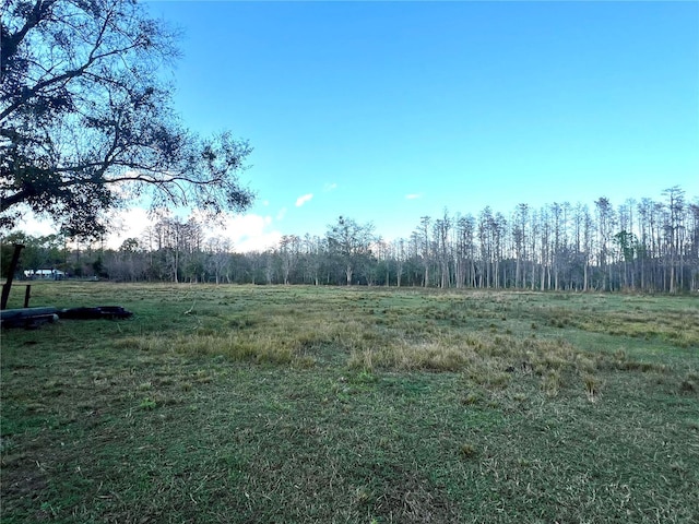 4915 Mount Pleasant Rd, Groveland, FL 34736 - photo 37