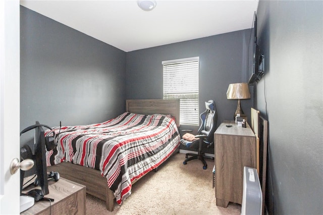 12827 Buffalo Run Dr, Gibsonton, FL 33534 - bedroom featuring light colored carpet