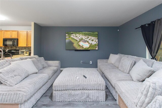 12827 Buffalo Run Dr, Gibsonton, FL 33534 - living room featuring wood finished floors