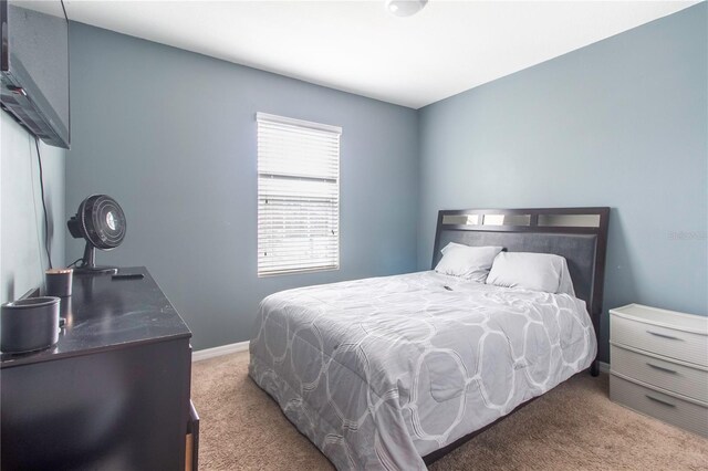 12827 Buffalo Run Dr, Gibsonton, FL 33534 - view of carpeted bedroom
