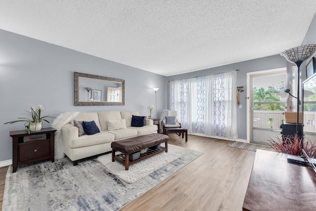 living room with wood-type flooring and a textured ceiling