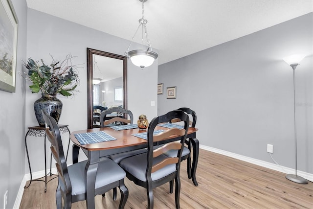 dining room with light hardwood / wood-style flooring