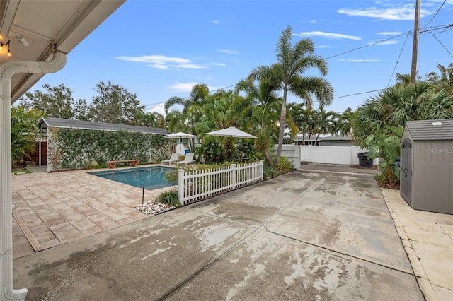 view of pool featuring a patio and a storage shed