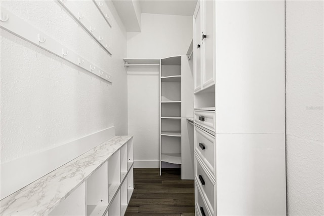 walk in closet with dark hardwood / wood-style floors