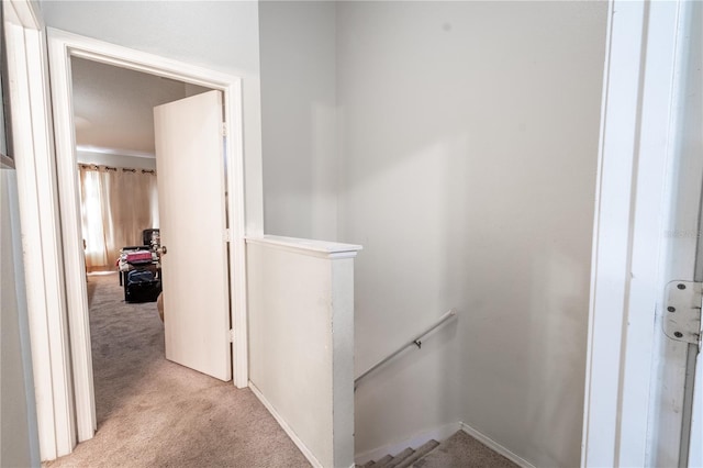 2432 Lake Woodberry Cir Unit 2432, Brandon, FL 33510 - photo 9