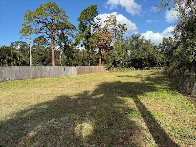 10002 Memorial Hwy, Tampa, FL 33615 - photo 2