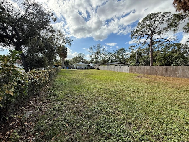 10002 Memorial Hwy, Tampa, FL 33615 - photo 3