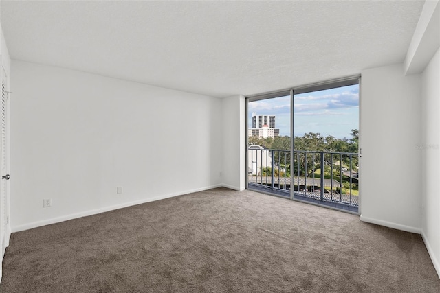 empty room featuring carpet floors and a textured ceiling