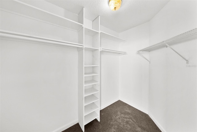 spacious closet featuring dark carpet