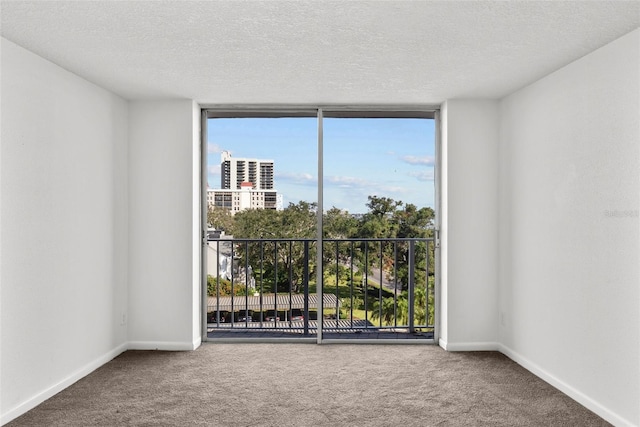 unfurnished room with carpet flooring and a healthy amount of sunlight