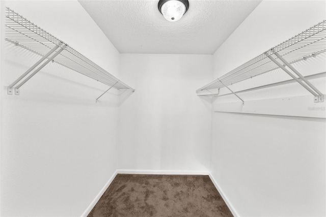 walk in closet featuring carpet