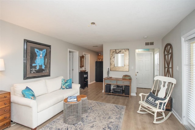 living room featuring hardwood / wood-style flooring