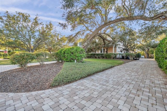 view of property's community with a lawn