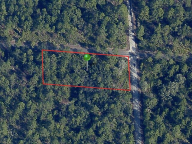 11240 W Dragonhead Dr, Crystal River, FL 34428 - photo 10