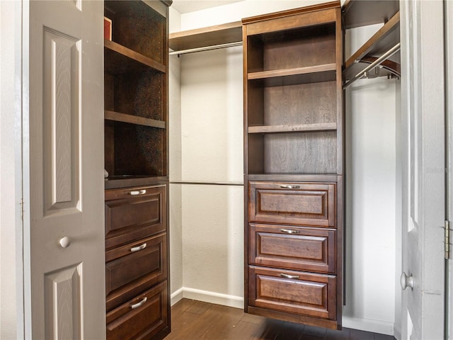 spacious closet featuring dark wood-style floors