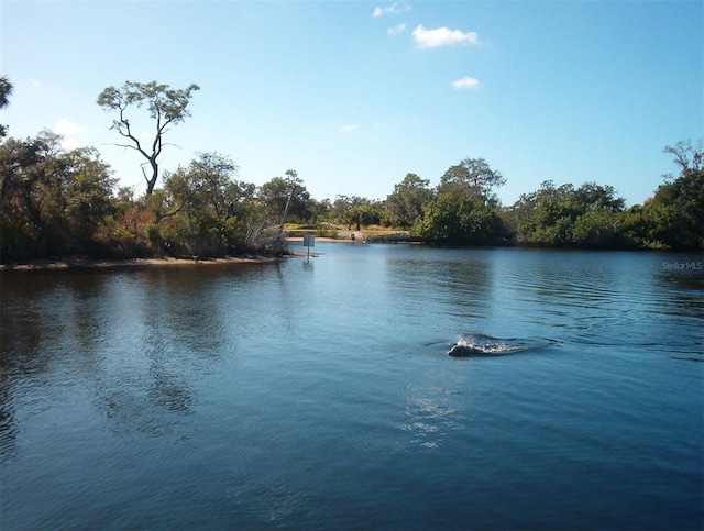 property view of water