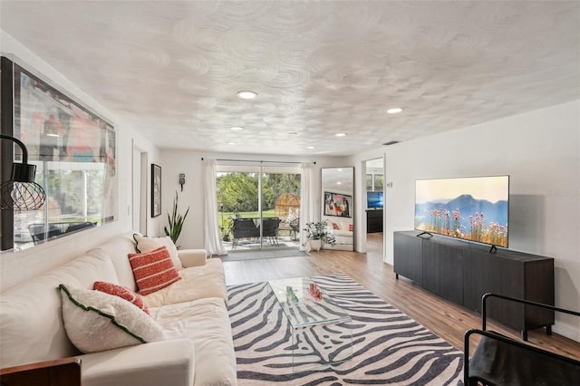 living room featuring light hardwood / wood-style floors