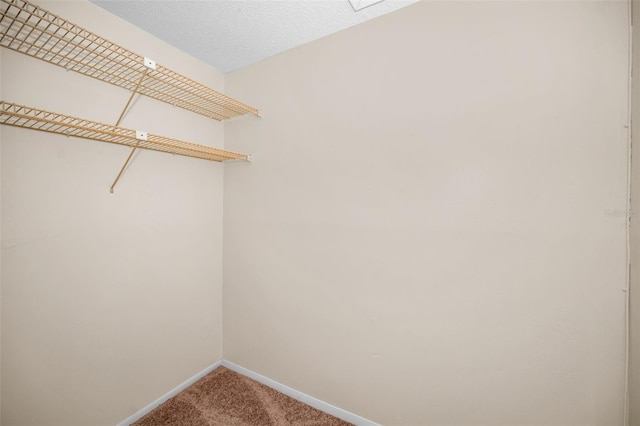 walk in closet with carpet flooring