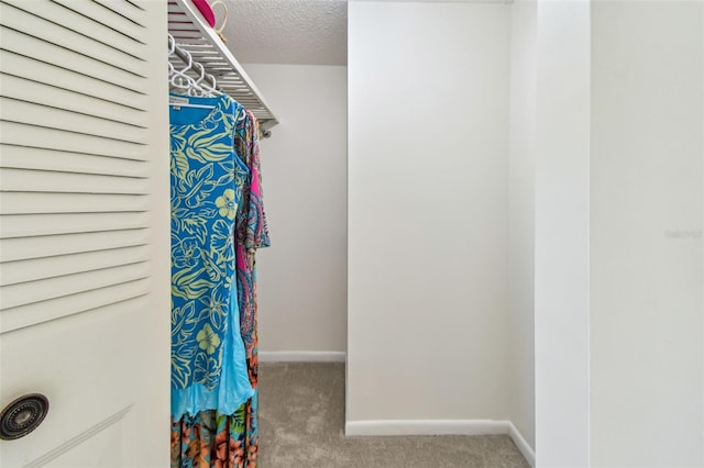 spacious closet featuring carpet floors