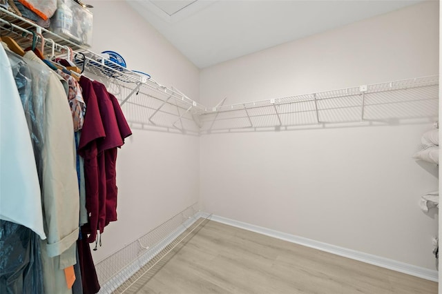 spacious closet with wood-type flooring