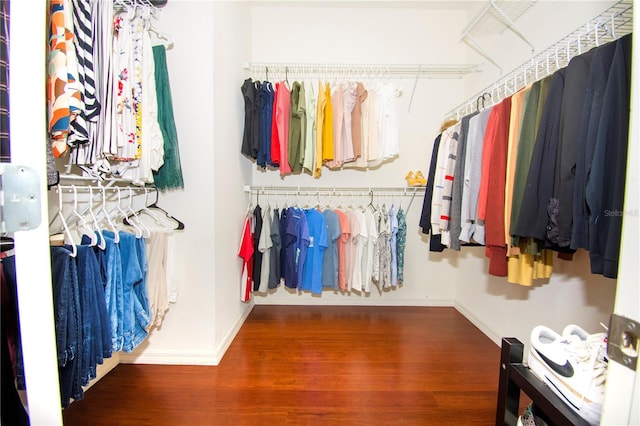 spacious closet featuring wood-type flooring