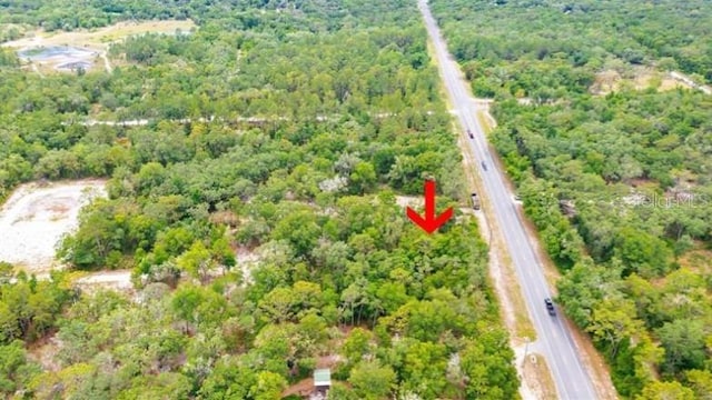 7466 Treiman Blvd, Webster, FL 33597