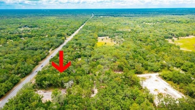 7466 Treiman Blvd, Webster, FL 33597